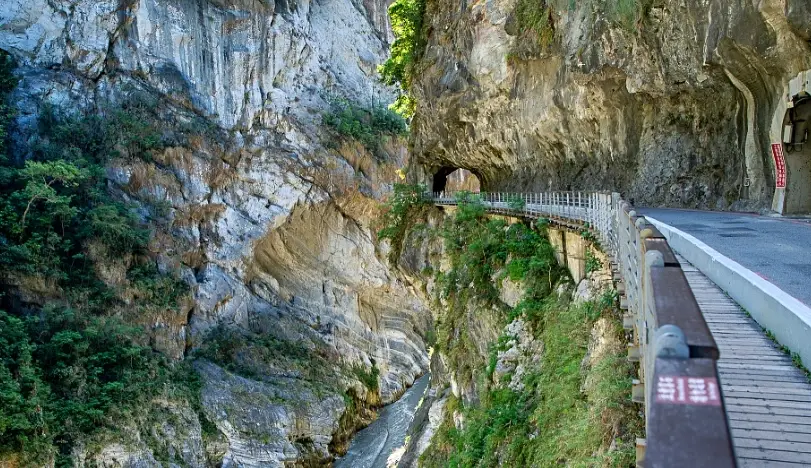 花蓮觀光巴士 花蓮觀光巴士