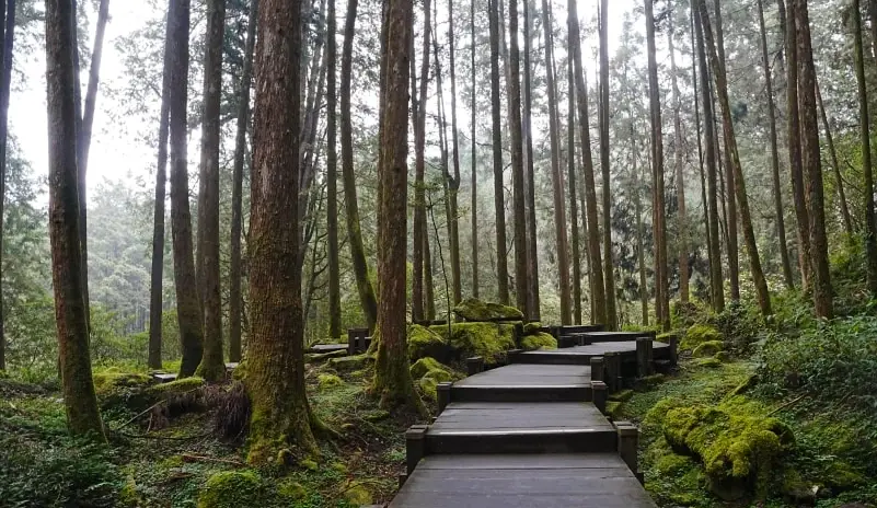 嘉義自由行交通