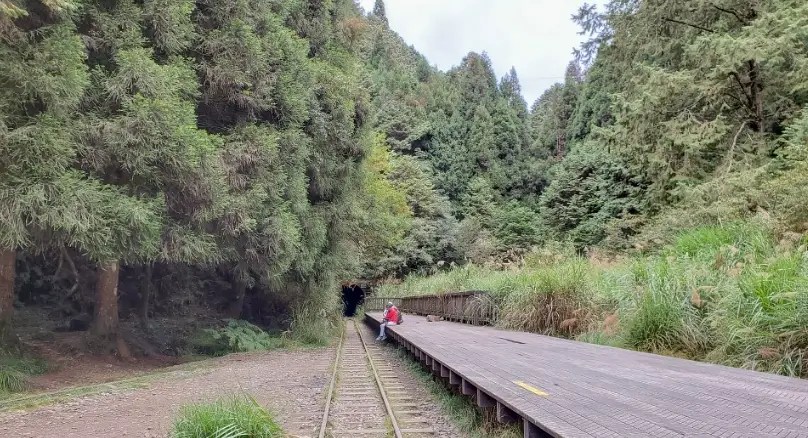 阿里山眠月線
