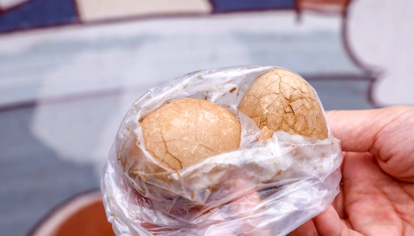 日月潭 不開車 行程