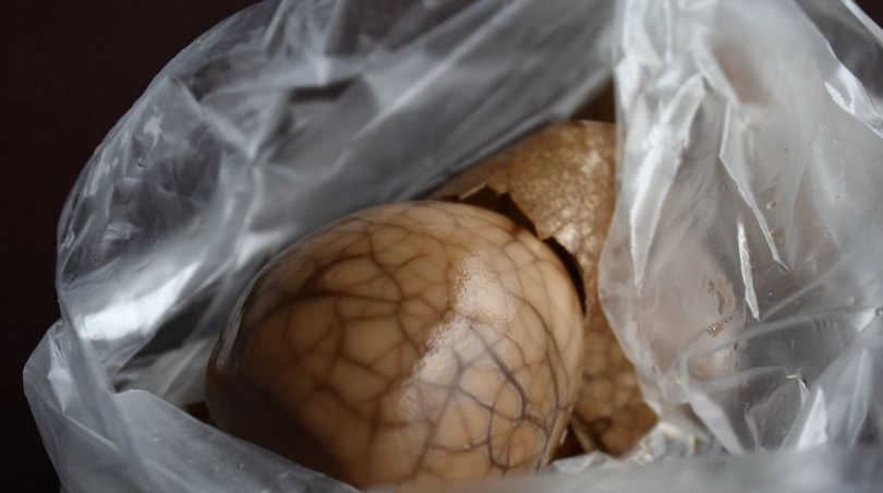 日月潭兩天一夜