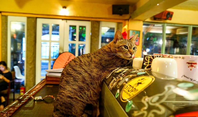 台北久坐餐廳 台北久坐餐廳