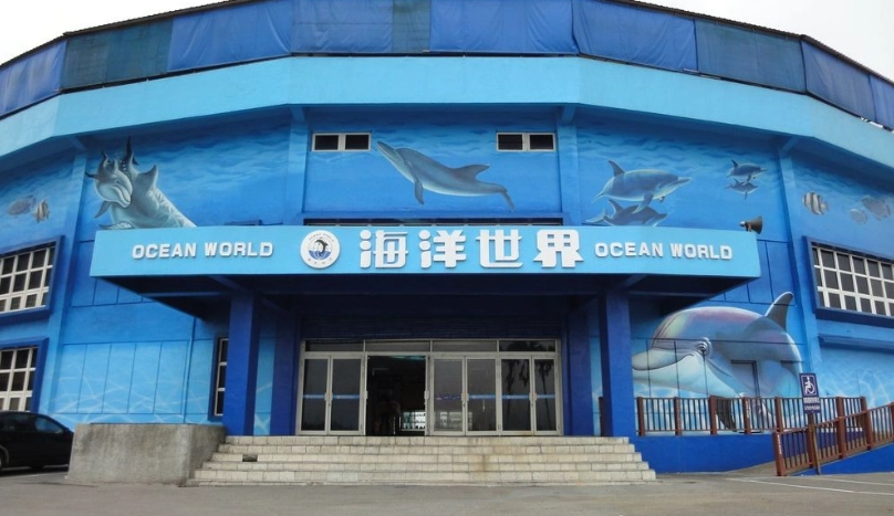 龜吼漁夫市集美食