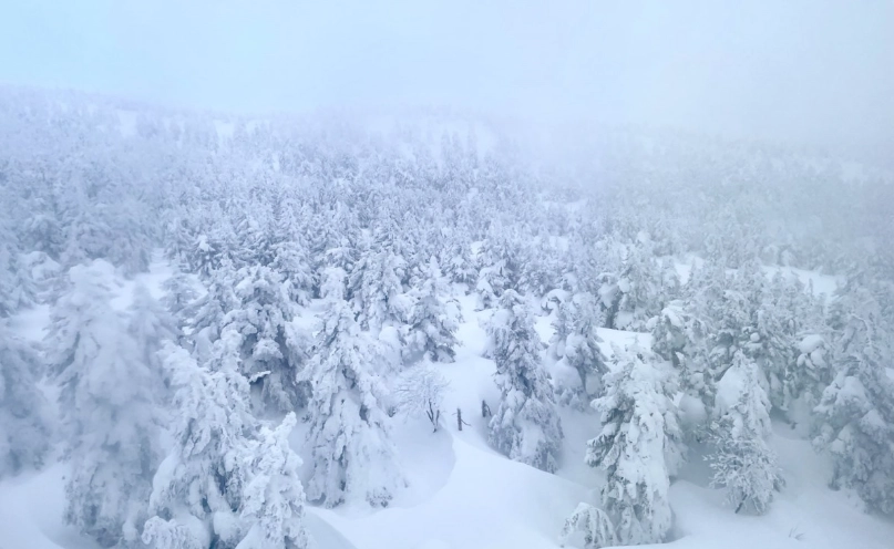 山形縣景點 山形縣景點