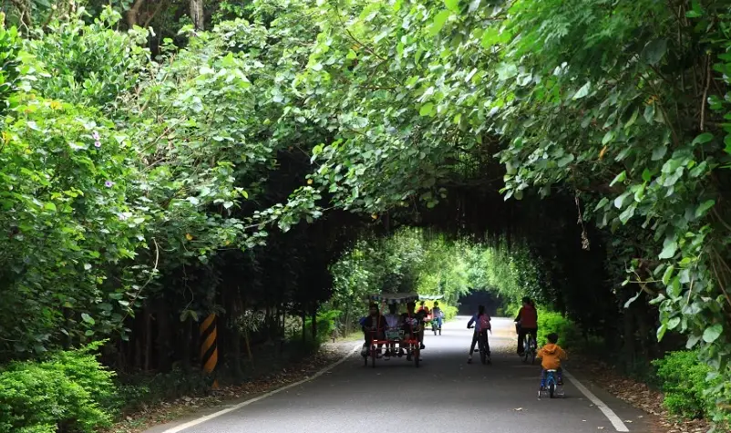 新屋濕地 新屋濕地