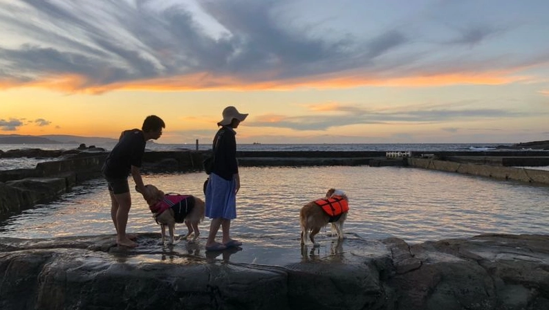 寵物友善北海岸