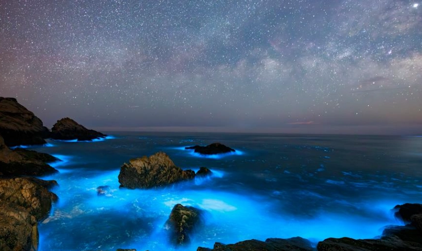 金門藍眼淚地點 金門藍眼淚地點