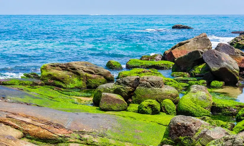 北海岸一日遊 北海岸一日遊