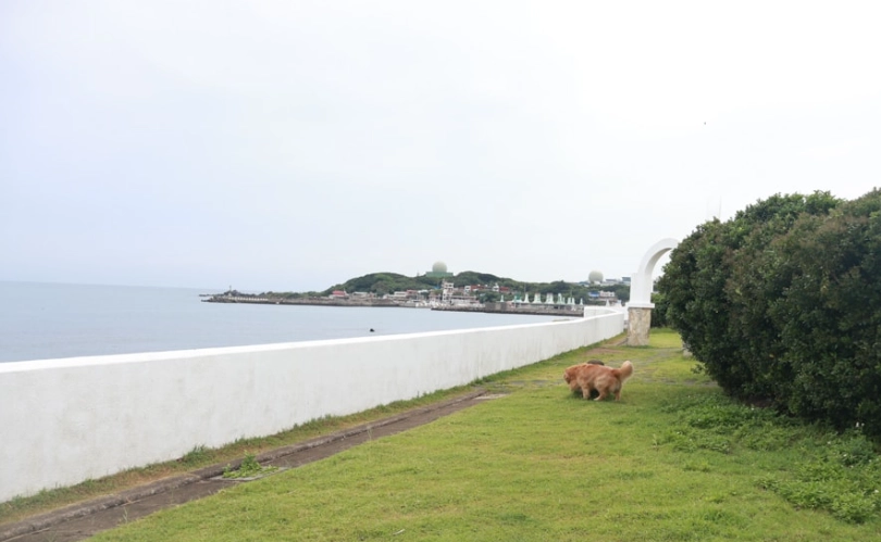 寵物友善北海岸
