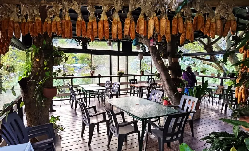 桃園私房景點餐廳