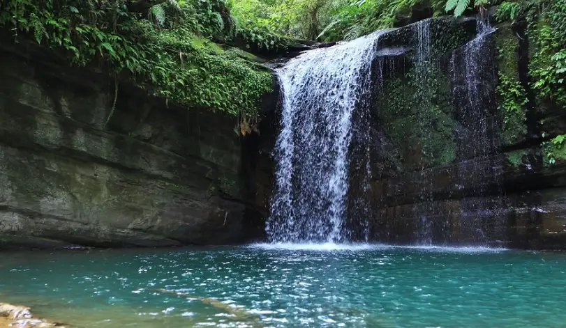 金山一日遊 金山一日遊