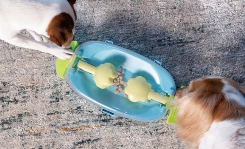 狗狗 吃 塑膠 玩具