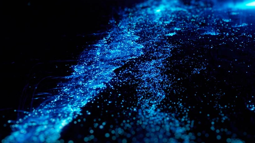 金門藍眼淚地點 金門藍眼淚地點