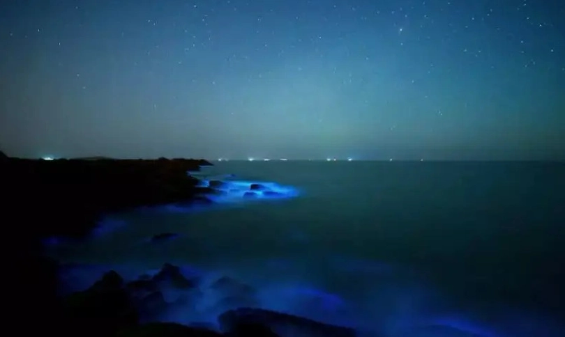 金門藍眼淚地點 金門藍眼淚地點