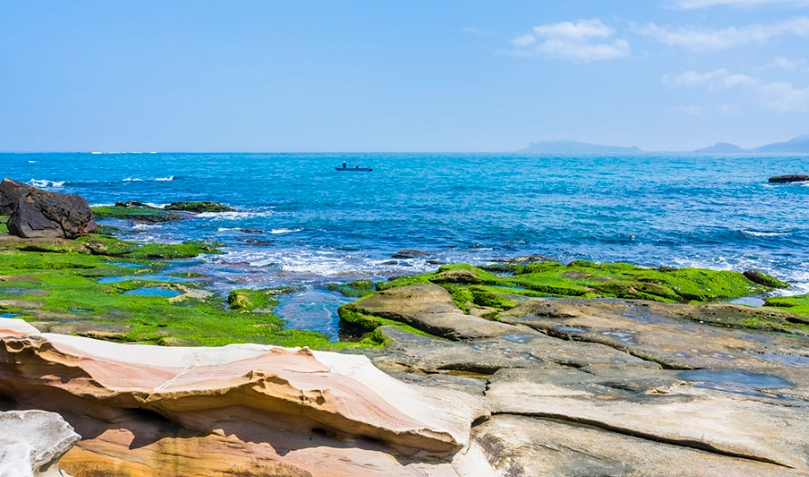 北海岸一日遊 北海岸一日遊