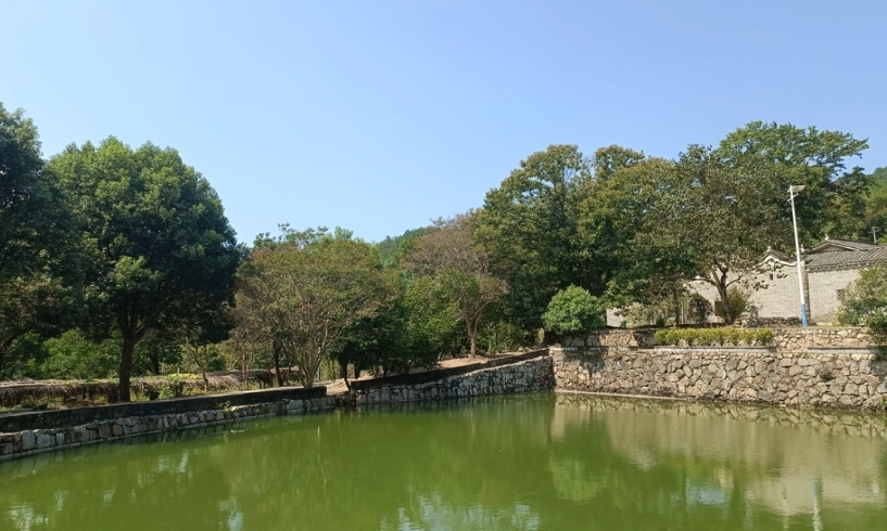 新屋一日遊 新屋一日遊