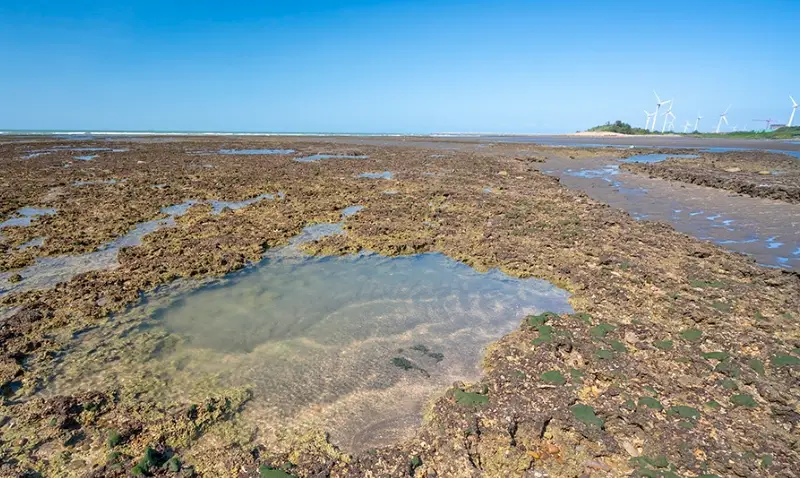 新屋一日遊 新屋一日遊