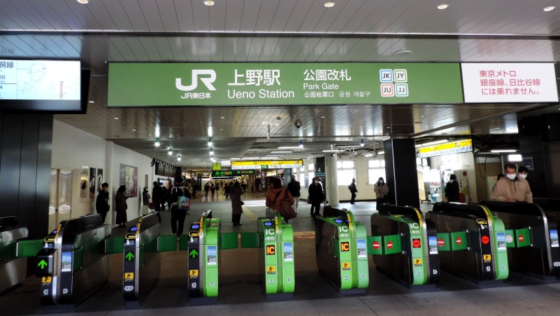 上野公園繡球花 交通