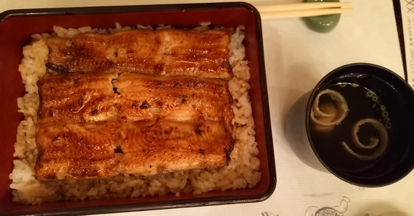 上野公園繡球花 拍攝