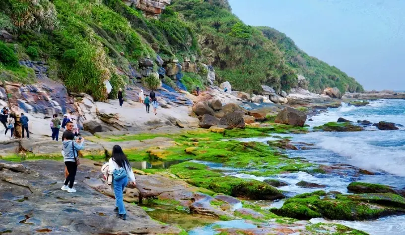 寵物友善北海岸