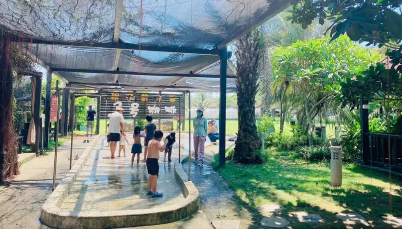 新屋新景點推薦：濱海秘境、綠色隧道與在地美食一日遊