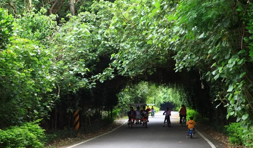 新屋濱海秘境 新屋濱海秘境