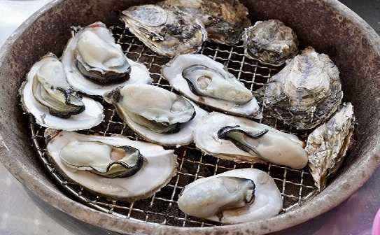 嘉義東石採蚵 嘉義東石採蚵