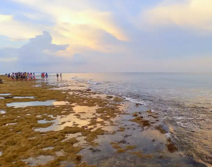 小琉球自由行 小琉球自由行