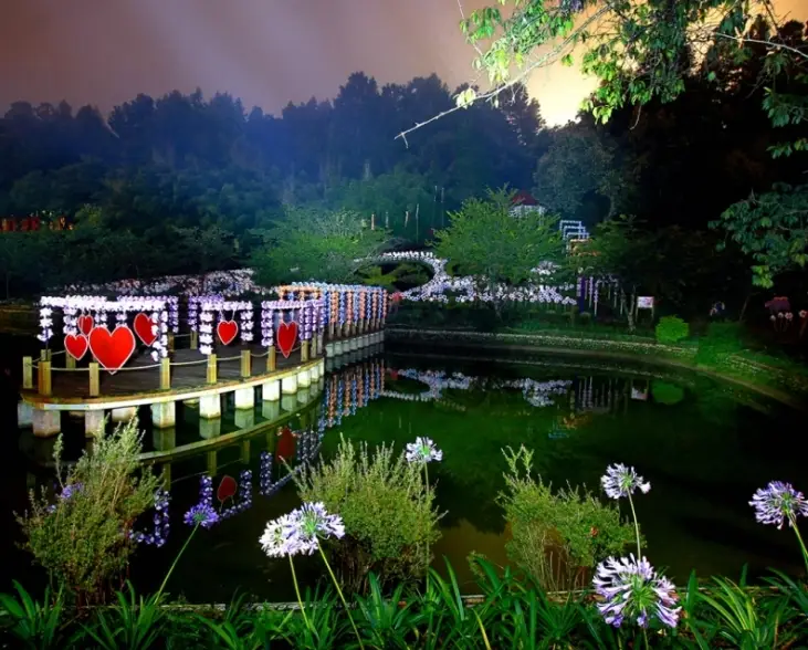 清境農場夜間行程