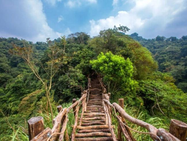 大坑一日遊 大坑一日遊