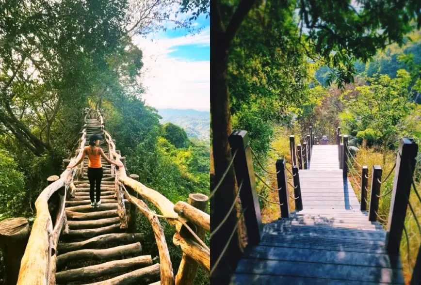 大坑一日遊 大坑一日遊