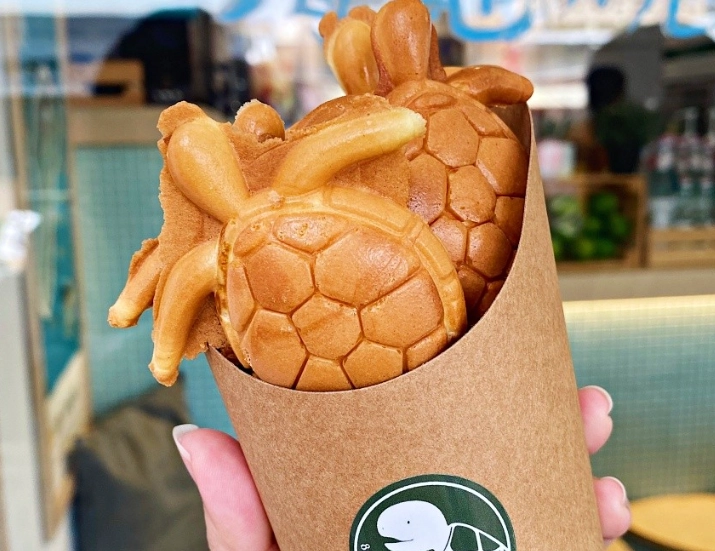 小琉球自由行 小琉球自由行