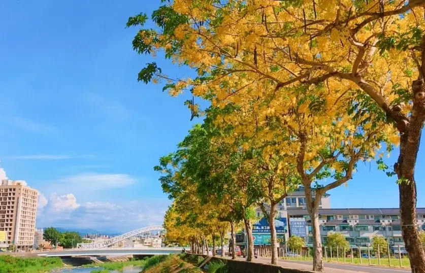 台中大坑 台中大坑