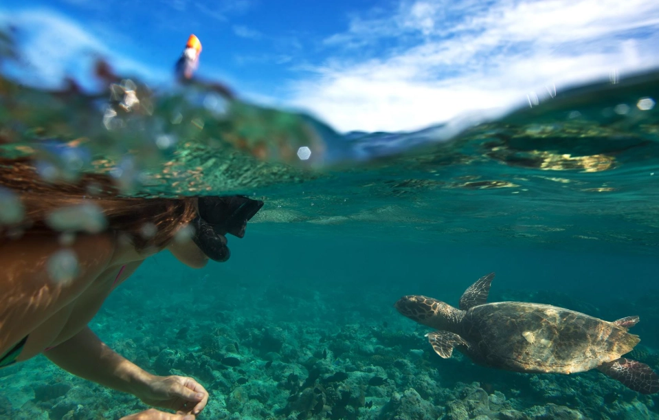 小琉球旅遊 小琉球旅遊