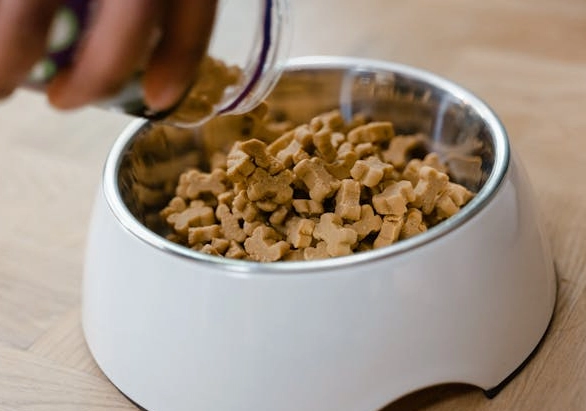 狗糧安全 狗糧安全