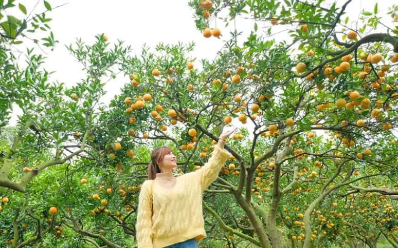 屏東農場親子遊