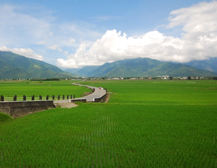 環島之星觀光列車