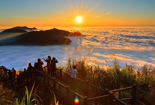 阿里山交通方式