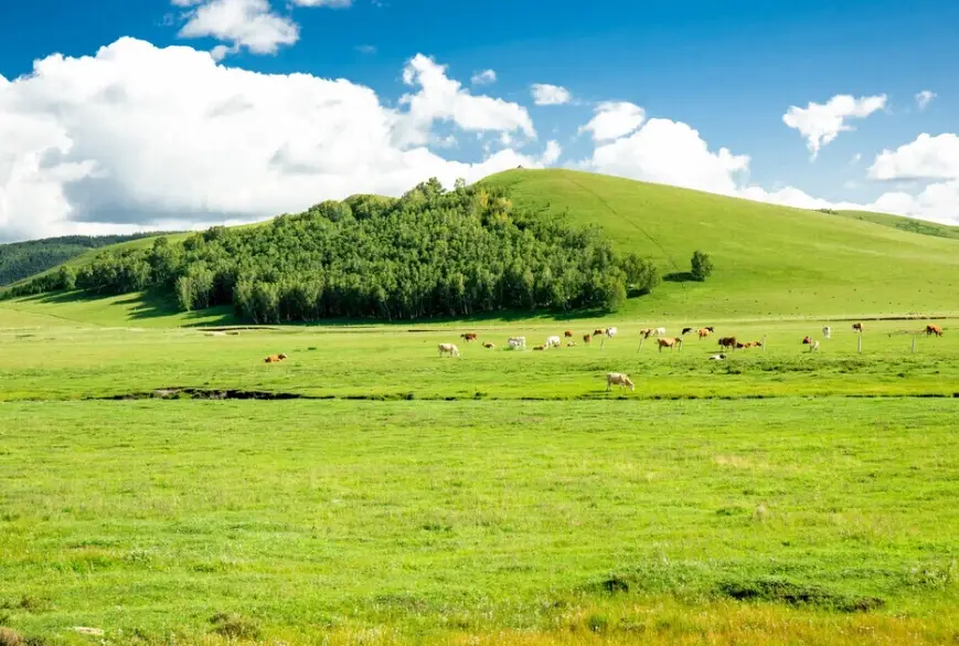 南投自由行攻略