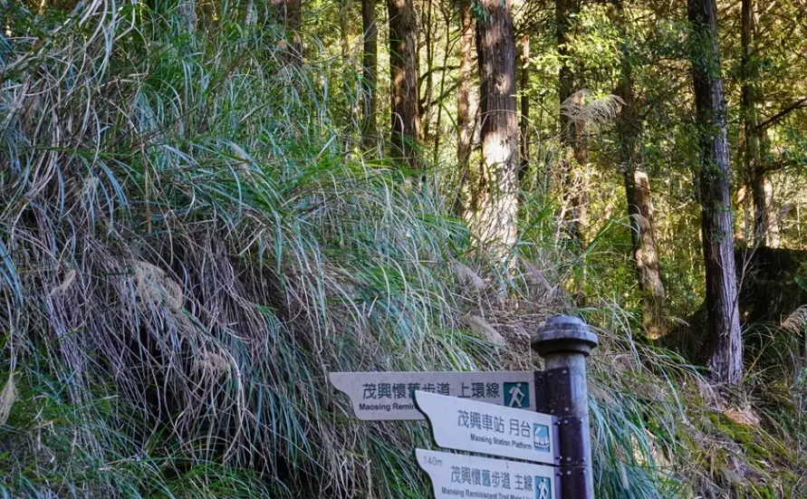 太平山國家森林遊樂區