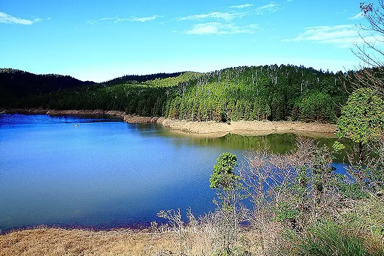 太平山國家森林遊樂區