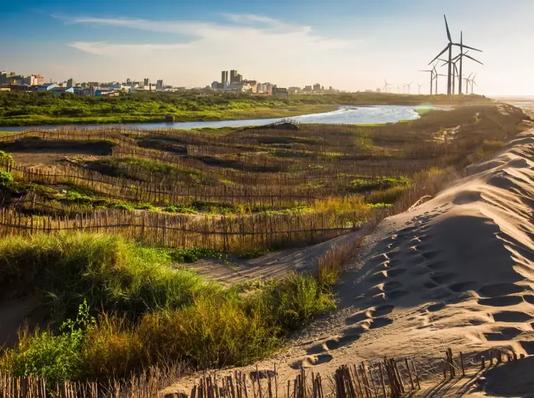 觀音海邊一日遊