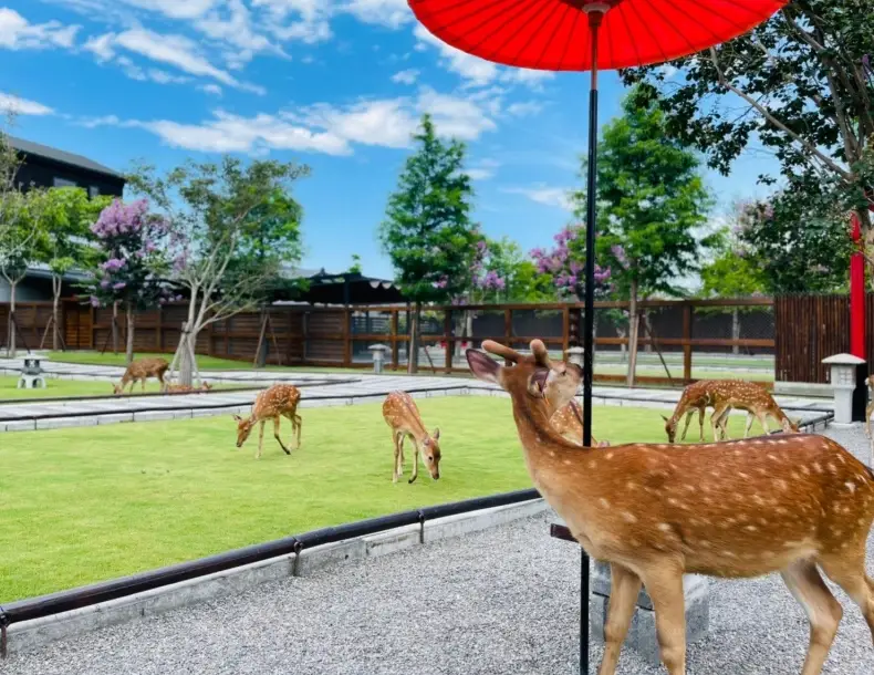 宜蘭親子一日遊