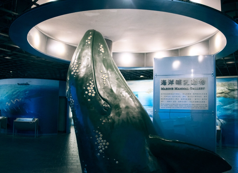 台南奇美博物館