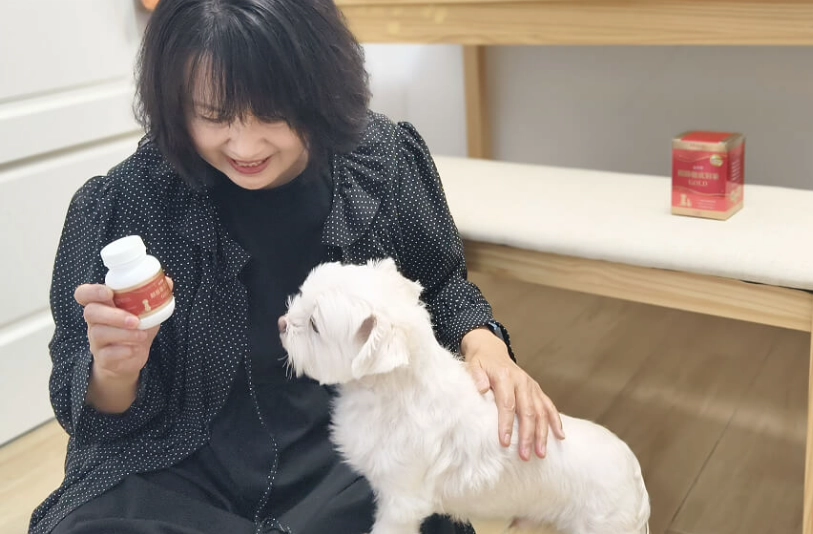 如何餵狗狗吃膠囊