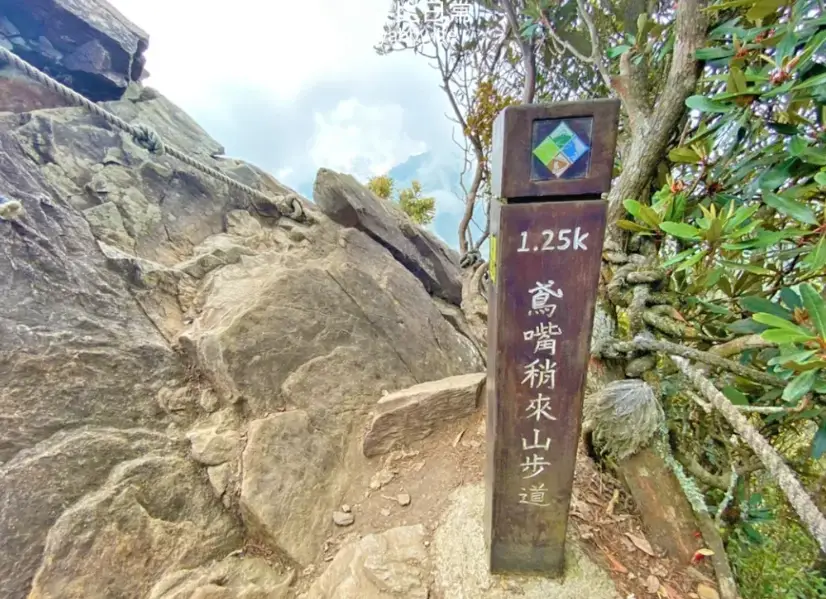 台灣 登山證 申請
