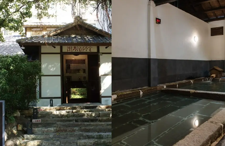 大眾池泳衣推薦