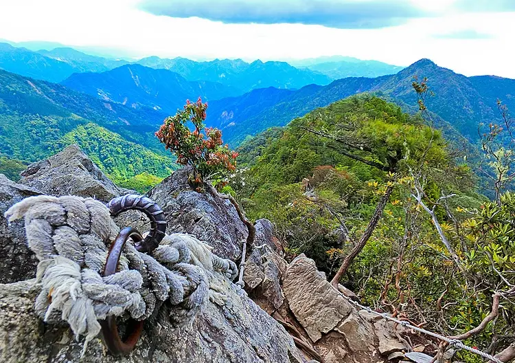 台灣 登山證 申請