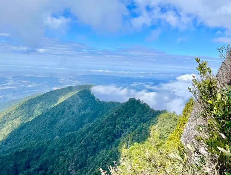 鳶嘴山 入山證 申請