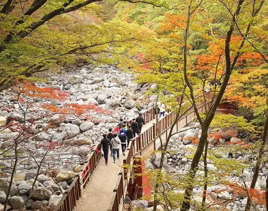 漢拿山觀音寺